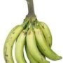 Big Plantain