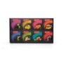 IMPRA BLACK TEA COMBO PACK