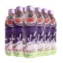 RIBENA PET PACK